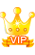 VIP会员